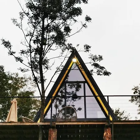 Spy Nest House *