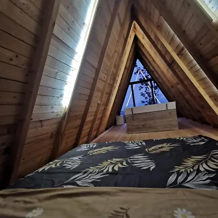Spy Nest House Holiday home