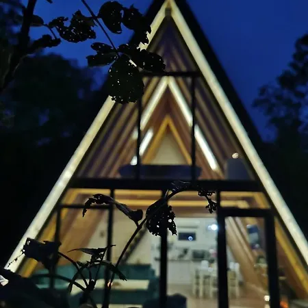Spy Nest House