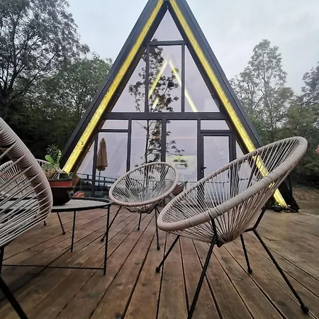 Spy Nest House *