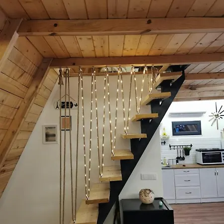Spy Nest House Knic