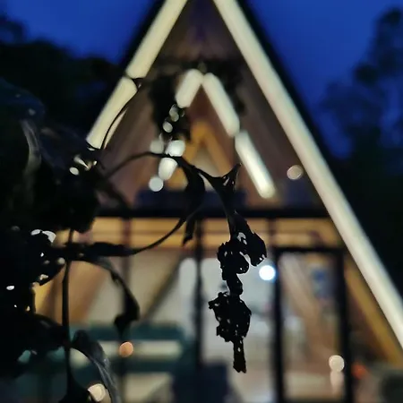 Spy Nest House Hotel